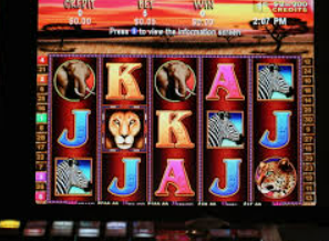 BBIN视讯2024最新版